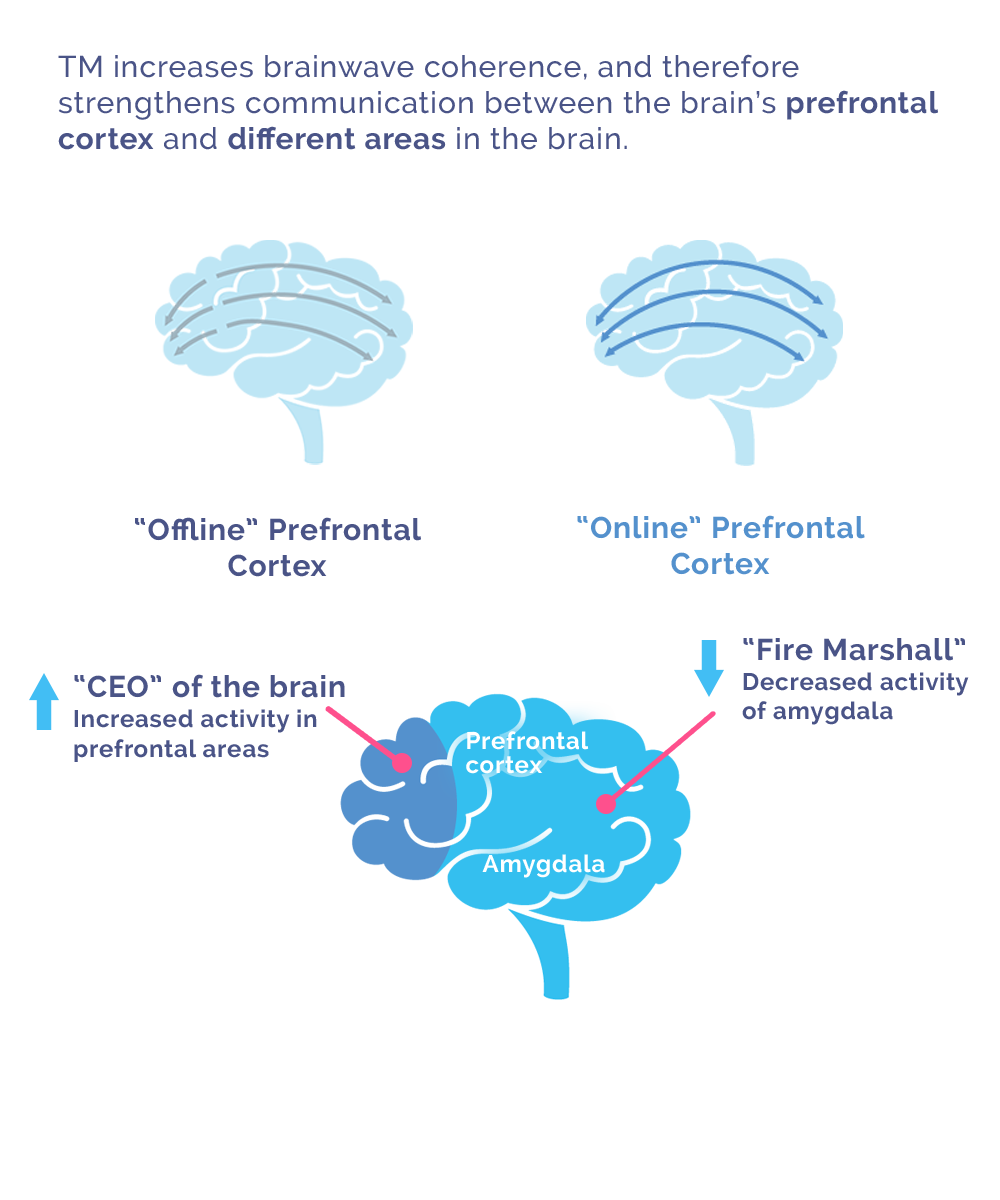 TM's effect on cortisol