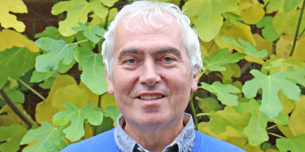 David Evans, Teacher of Transcendental Meditation