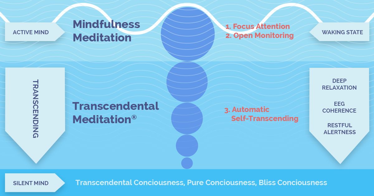 Mindfulness Meditation v TM