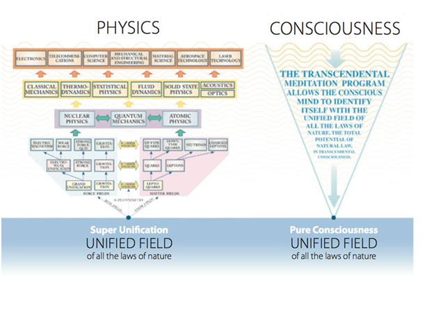 Phuysics Consciousness